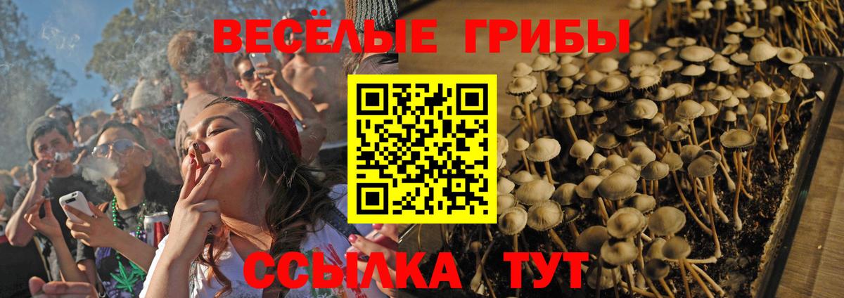Галлюциногенные грибы ЛСД  Псилоцибиновые грибы прущие грибы  Лабытнанги  Вход с VPN 